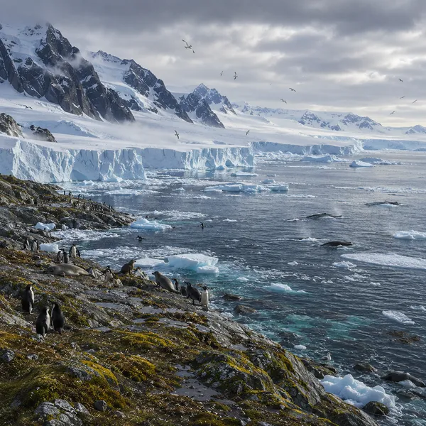 West Antarctica in the Upper Pleistocene II