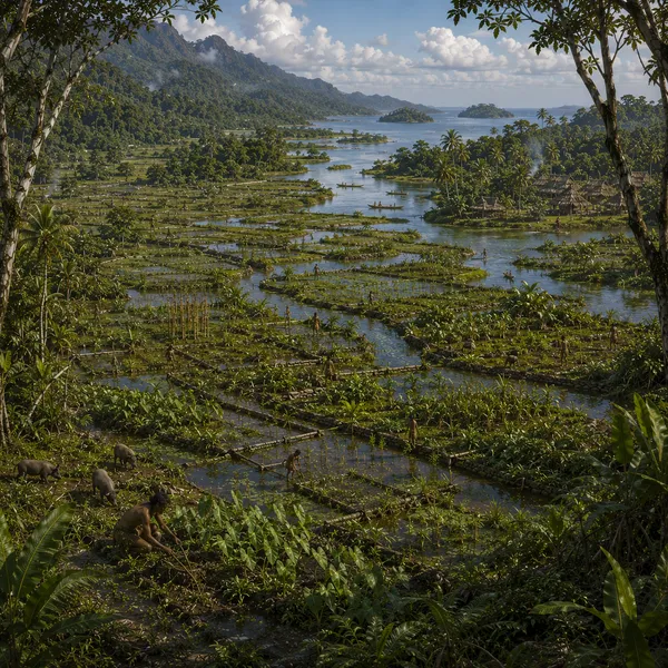 West Melanesia in the Middle Holocene