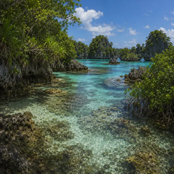 West Micronesia in the Late Holocene