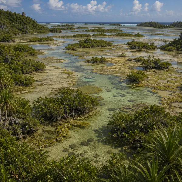 West Micronesia in the Middle Holocene