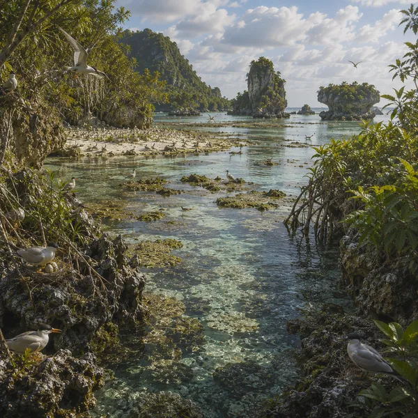 West Micronesia in the Upper Pleistocene II