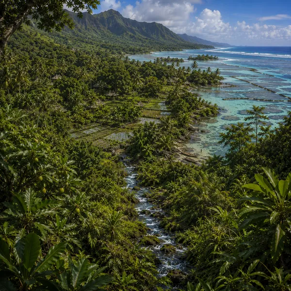 West Polynesia in Archaic Antiquity