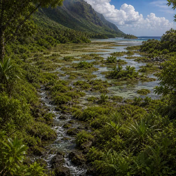 West Polynesia in the Late Holocene