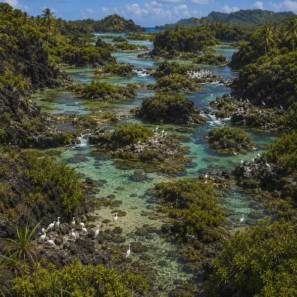West Polynesia in the Middle Holocene