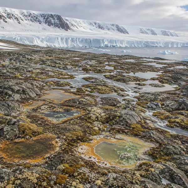 Western East Antarctica in the Late Holocene