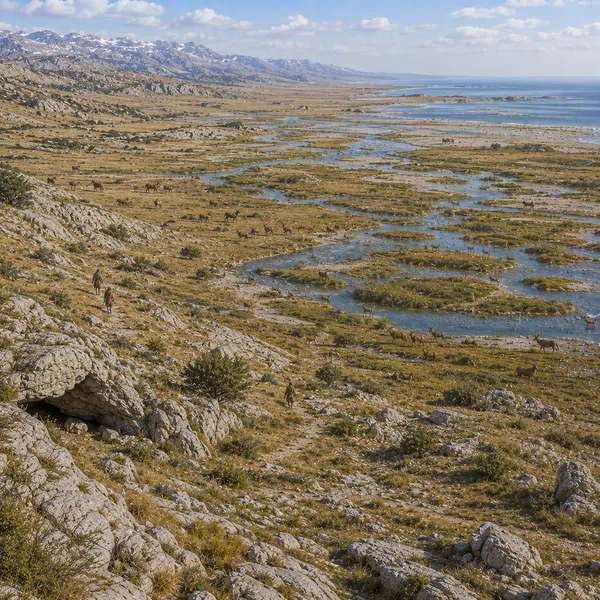 Western Southeast Europe in the Upper Paleolithic